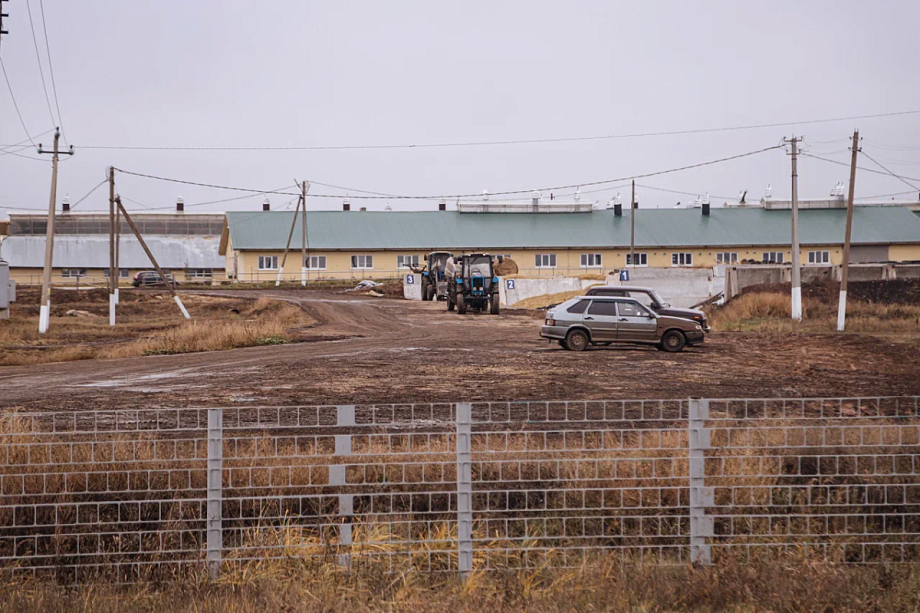 Агрофирма Чишма